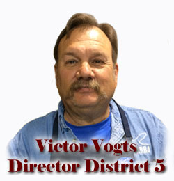 Director District Five - David Moll